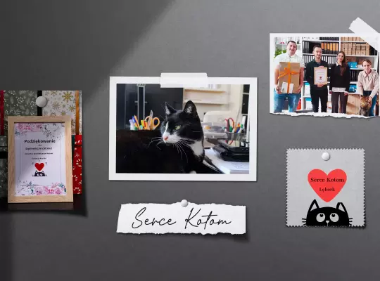 Odpowiedzialność Społeczna (CSR)