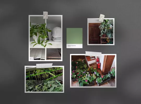 Odpowiedzialność Społeczna (CSR)