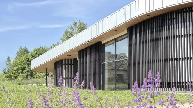 Grafika główna Centrum Edukacji Leśnej