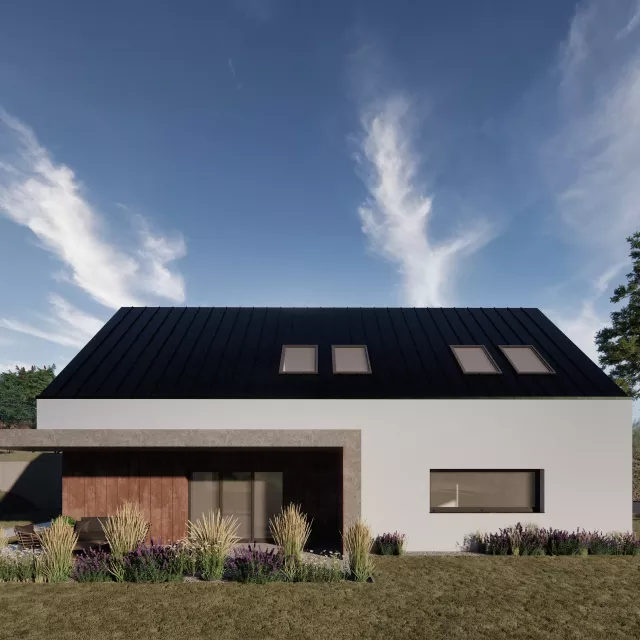 Grafika nr 2 jacek dom