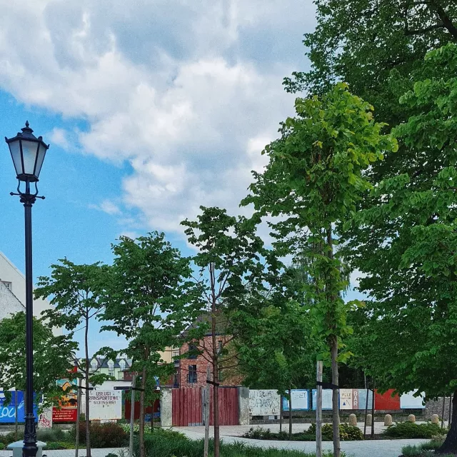 Grafika nr 4 Przebudowa ul. Kościuszki w Łebie