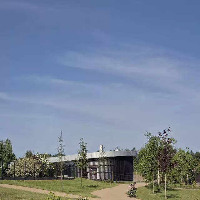 Grafika nr 6 Centrum Edukacji Leśnej