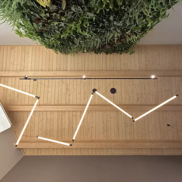 Grafika nr 10 Centrum Edukacji Leśnej