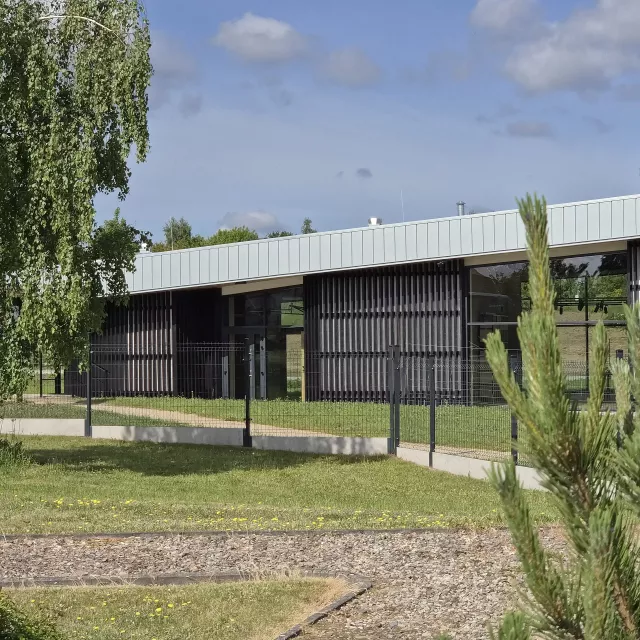 Grafika nr 7 Centrum Edukacji Leśnej